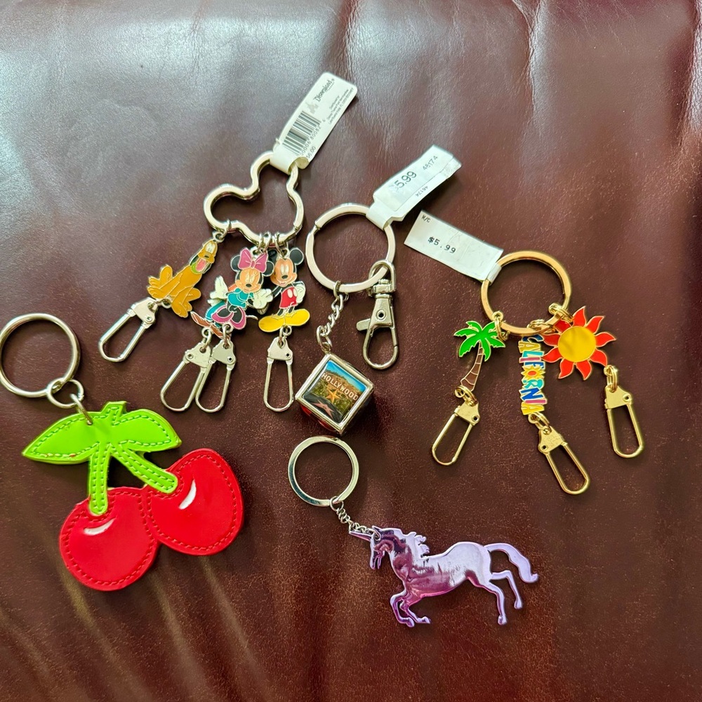 🍒 🔑🗝️ Assorted Key Holders - Set
